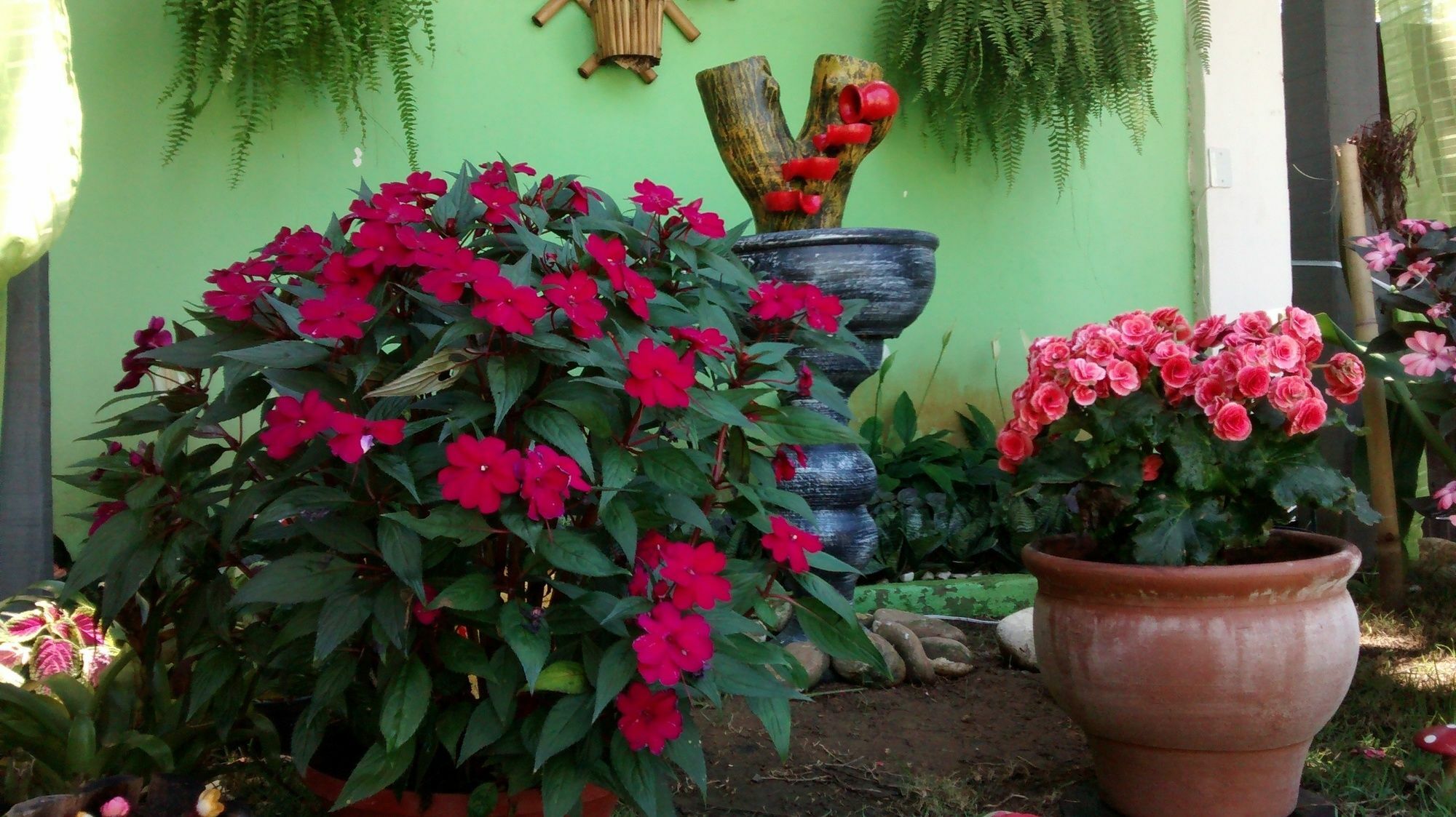 Pousada Flora Buzios Esterno foto
